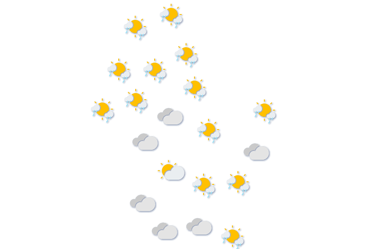 Forecast