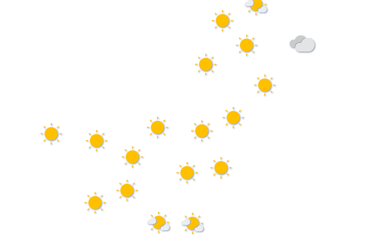 Forecast