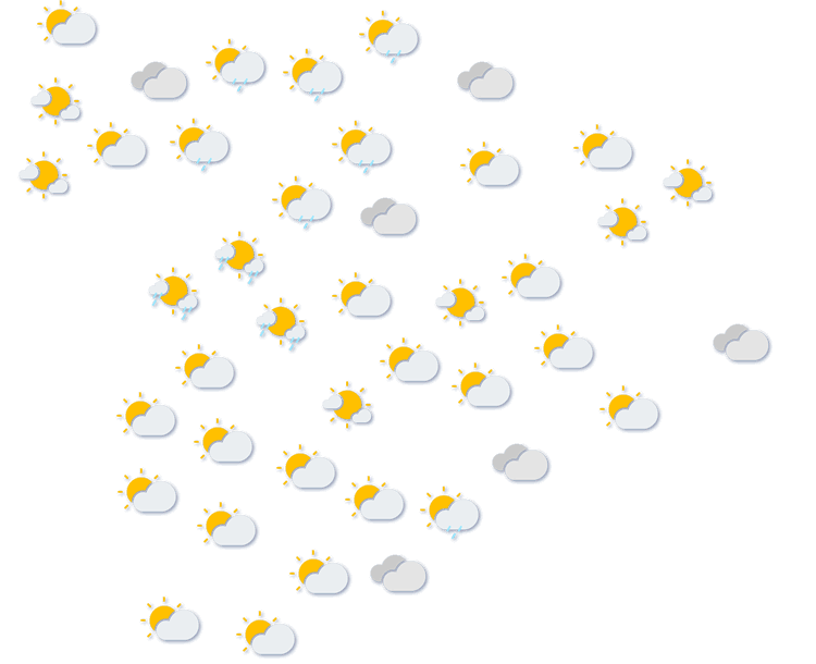 Forecast