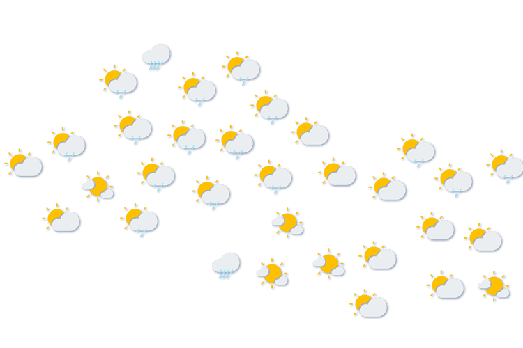 Forecast