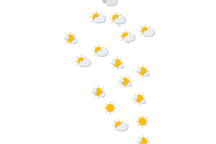 Forecast