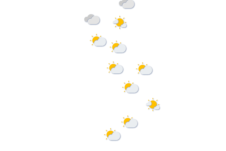 Forecast