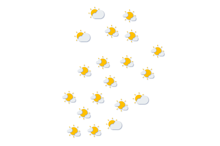 Forecast