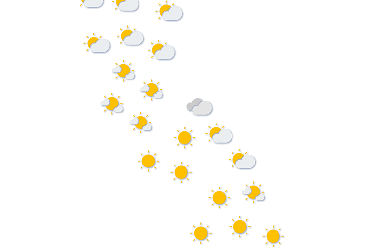 Forecast
