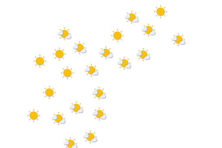 Forecast