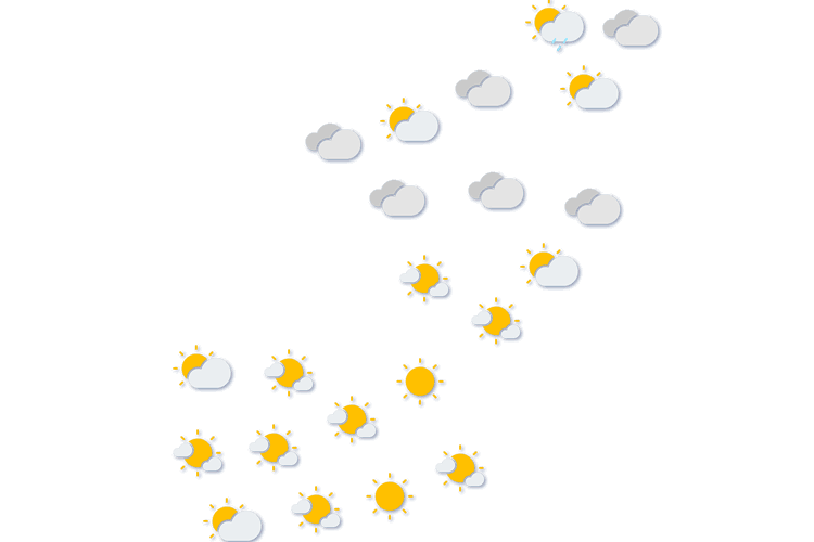 Forecast