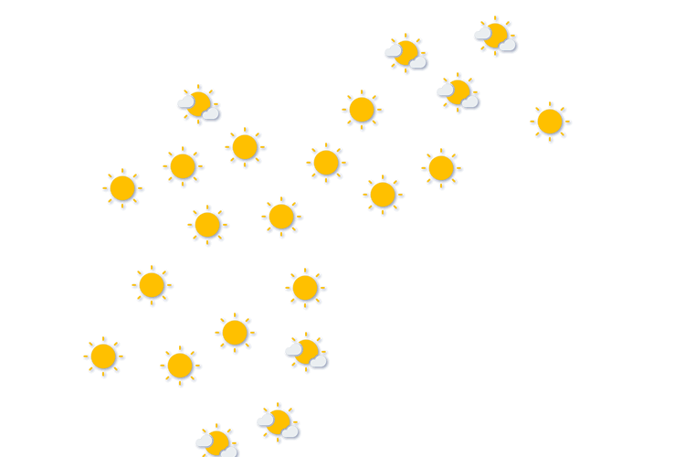Forecast