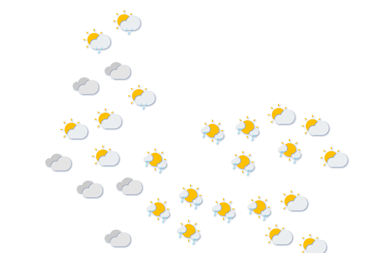 Forecast