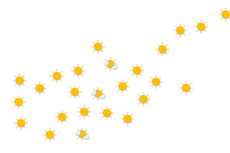 Forecast