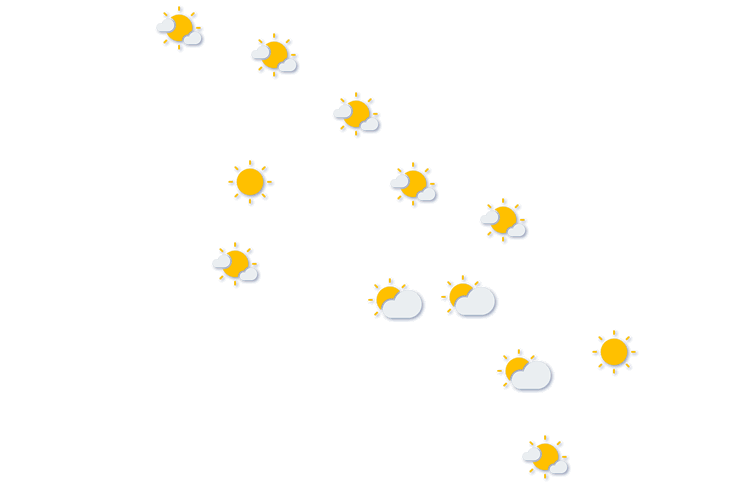 Forecast