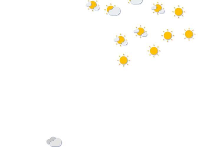 Forecast