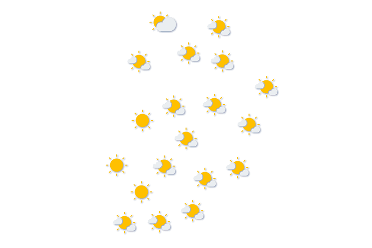 Forecast