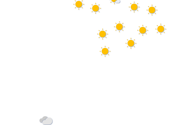 Forecast