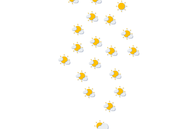 Forecast