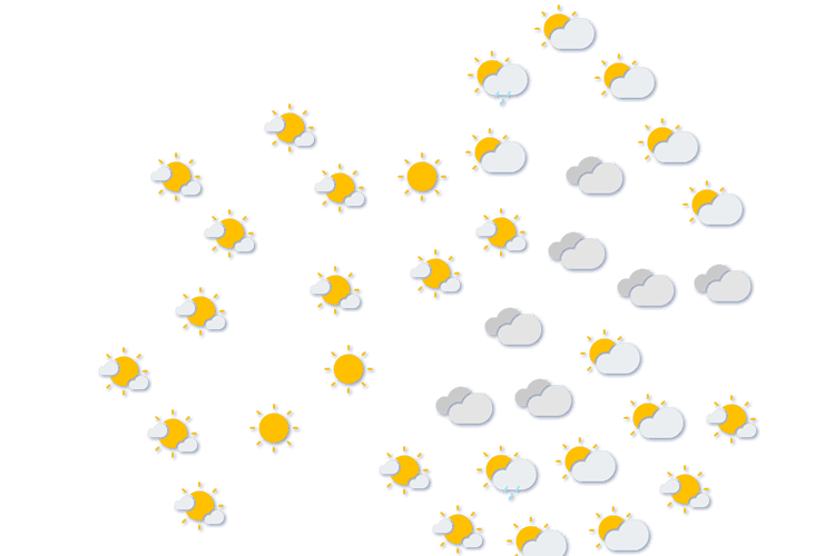 Forecast