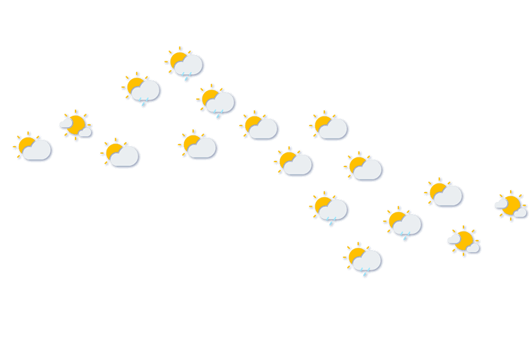 Forecast