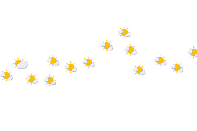Forecast