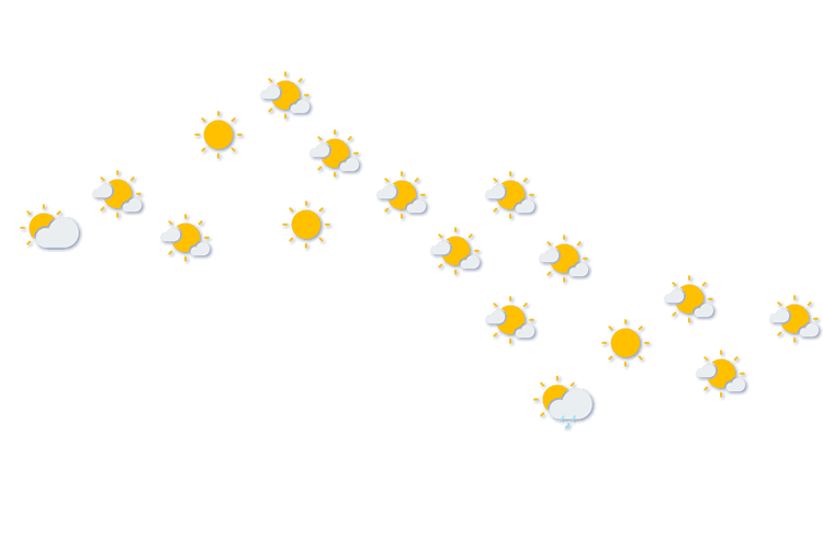 Forecast