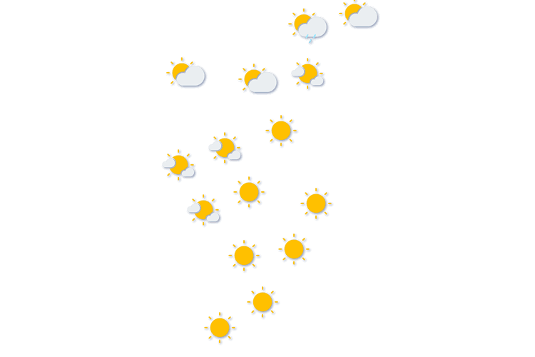 Forecast