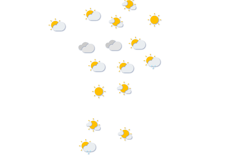 Forecast
