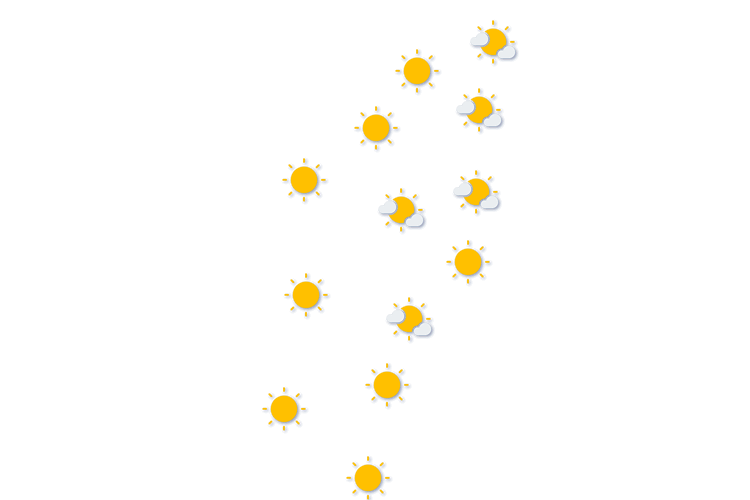 Forecast