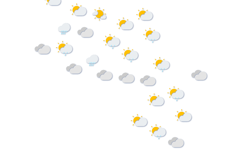 Forecast