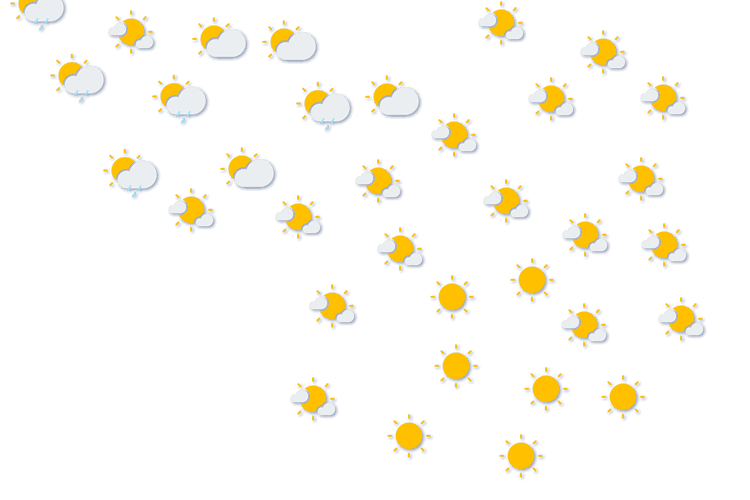 Forecast