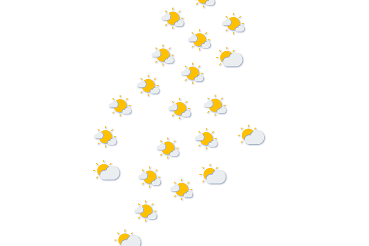 Forecast