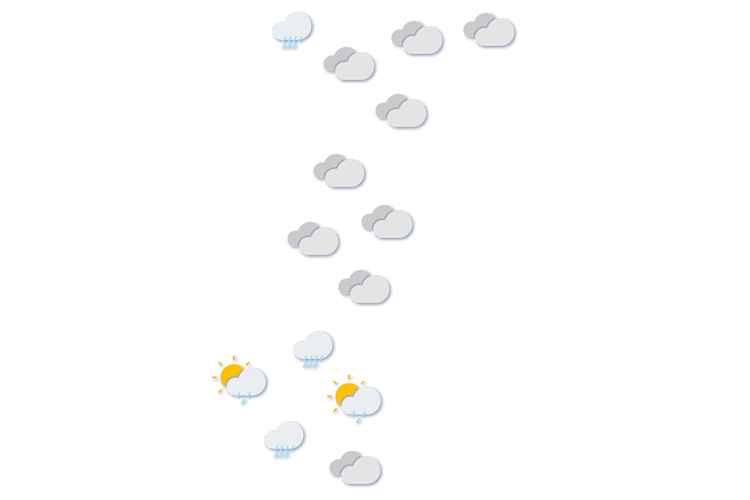 Forecast