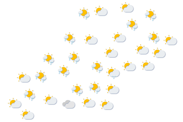 Forecast