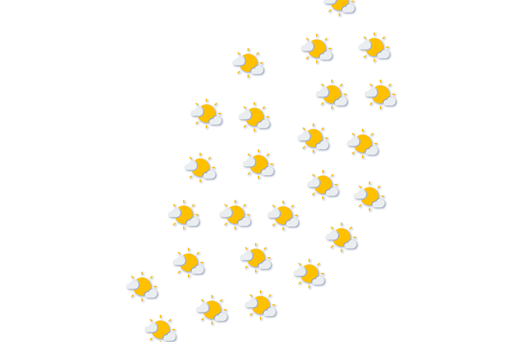 Forecast