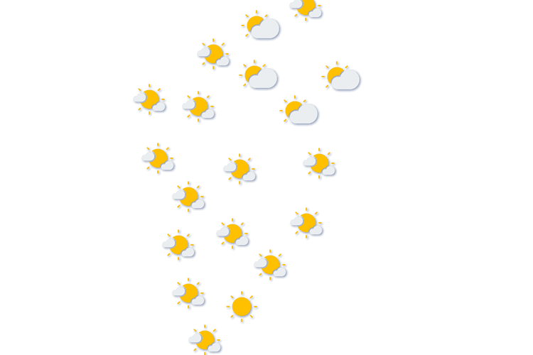 Forecast