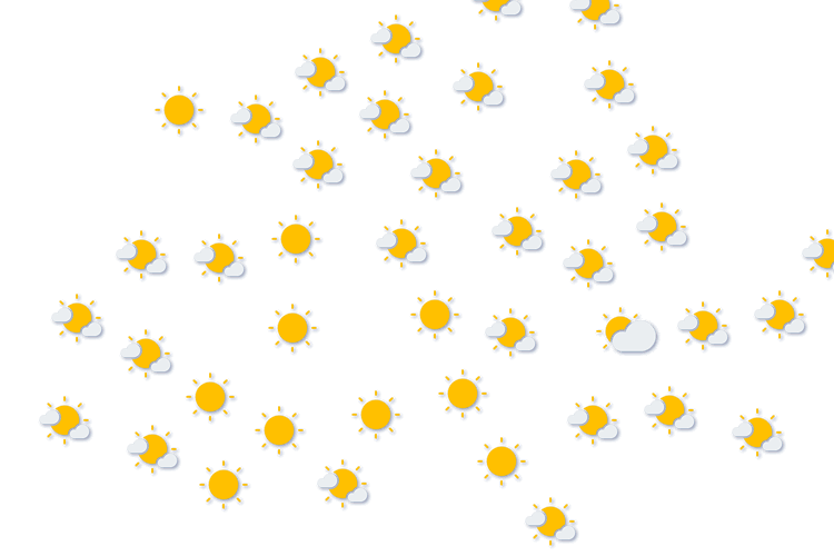 Forecast