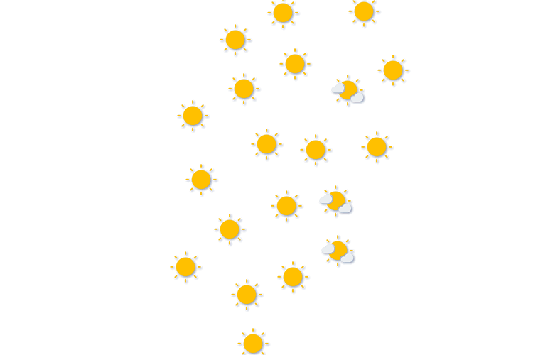 Forecast