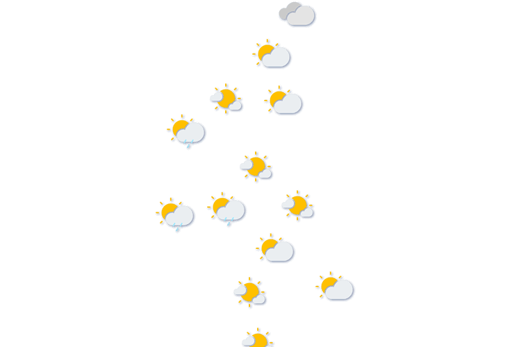 Forecast
