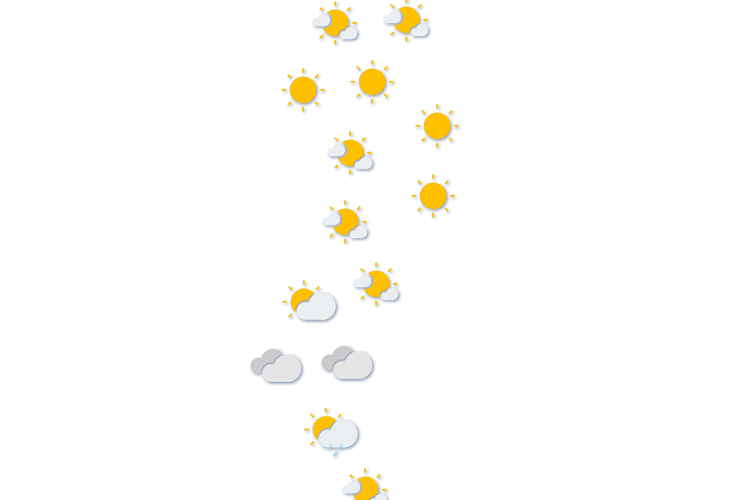 Forecast
