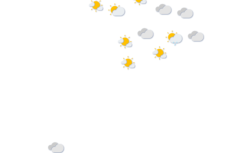Forecast