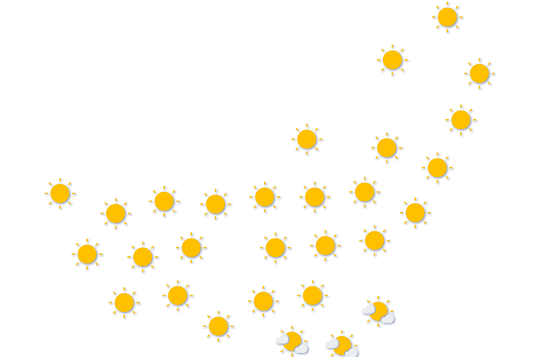 Forecast