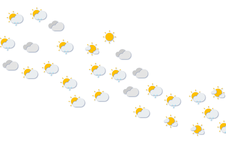 Forecast