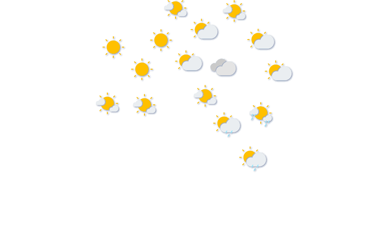 Forecast