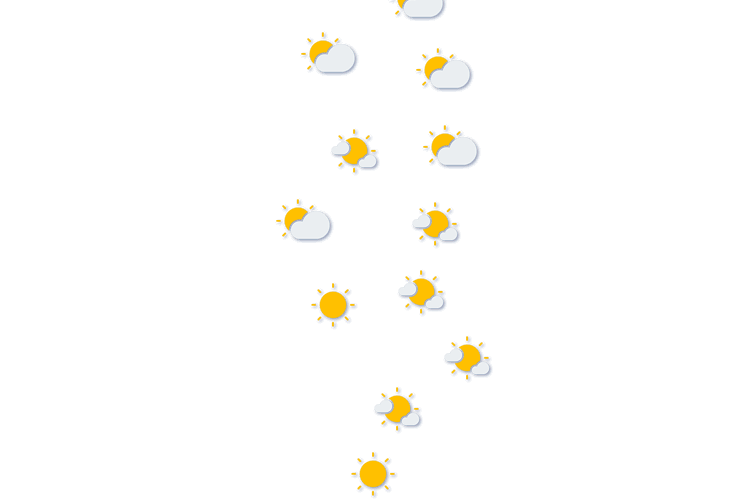 Forecast