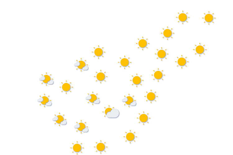 Forecast