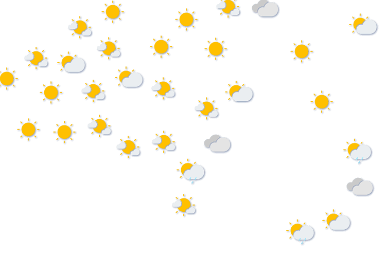 Forecast