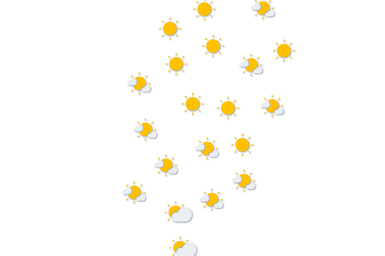 Forecast