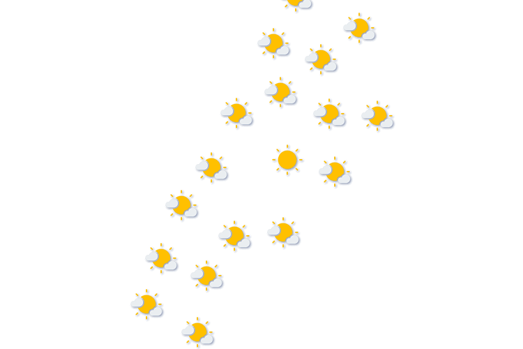 Forecast