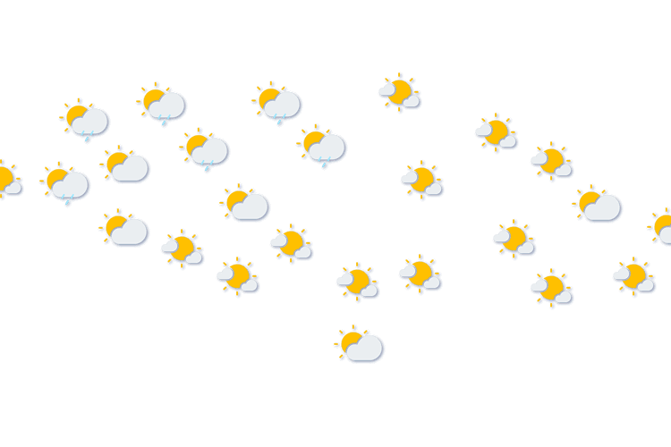Forecast