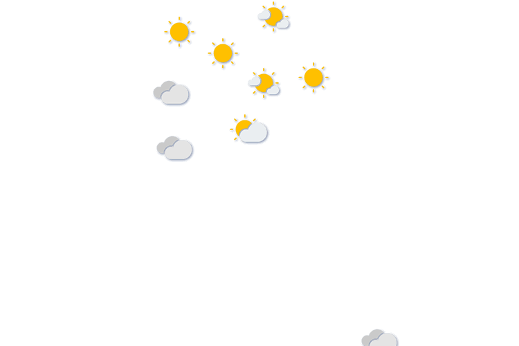 Forecast
