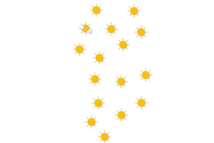Forecast
