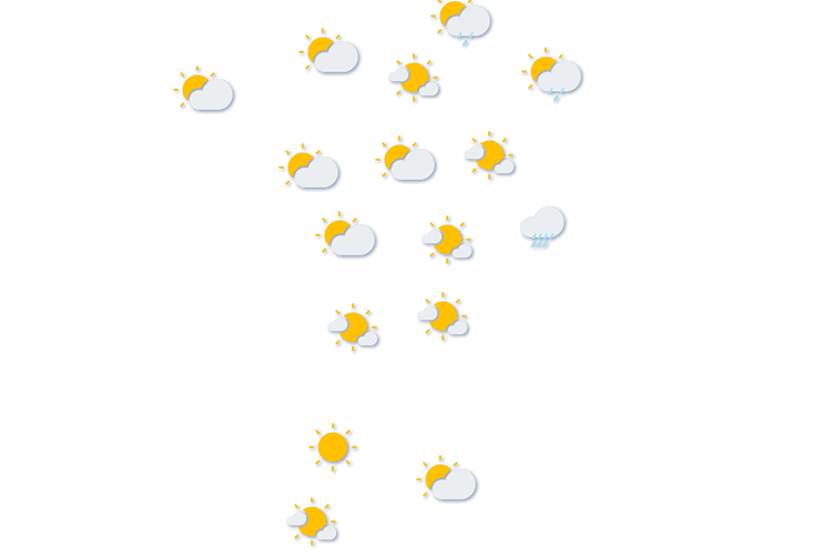 Forecast