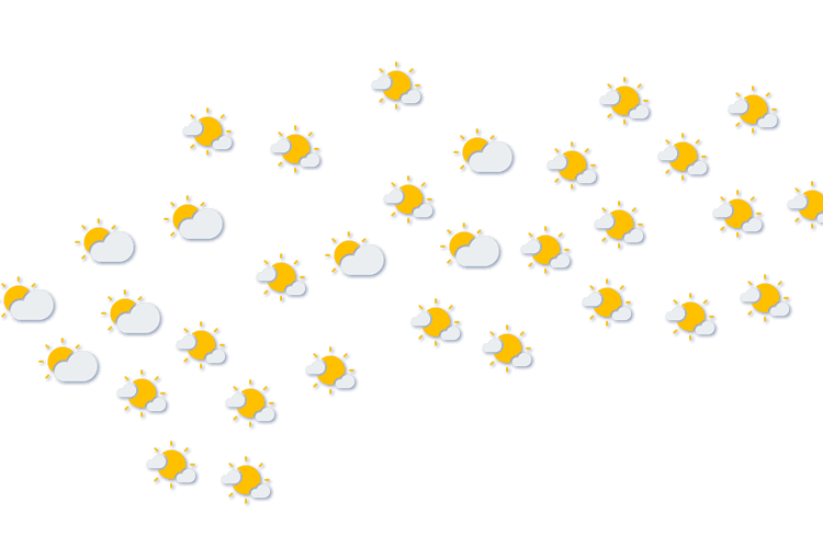 Forecast